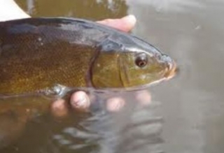  Fishing in the North 